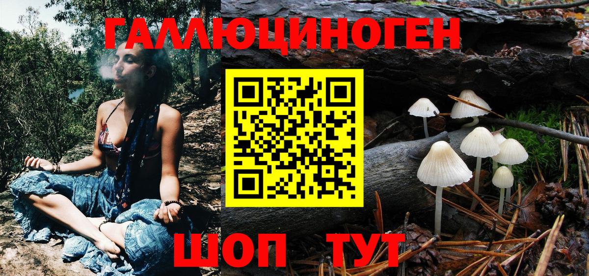закладка  Псилоцибиновые грибы мухоморы  Псилоцибиновые грибы GOLDEN TEACHER  Вход с VPN  Сегежа 